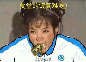 海珠格格表情包