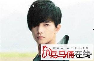 杨洋简历个人资料简介