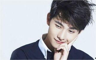 杨洋简历个人资料简介