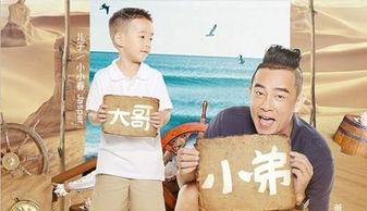 爸爸去哪儿5明星,星爸萌娃欢乐集结，亲子时光温馨再现