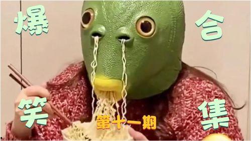 熊童子搞笑视频,萌态百出，笑料连连