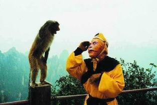 演员小猴子,演艺圈璀璨新星，演绎人生百态