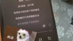 女主播闪现裙子,性感魅力瞬间引爆直播间