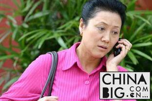 王云丽个人资料,才华横溢的艺术家，人生轨迹与成就综述