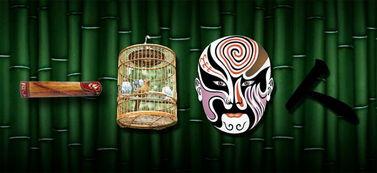 一鸣惊人的图片,揭秘图片背后的震撼瞬间