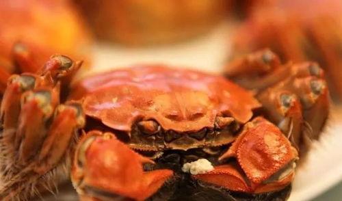 关于吃大闸蟹搞笑句子,大闸蟹美食背后的搞笑瞬间