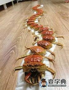 关于吃大闸蟹搞笑句子,大闸蟹美食背后的搞笑瞬间