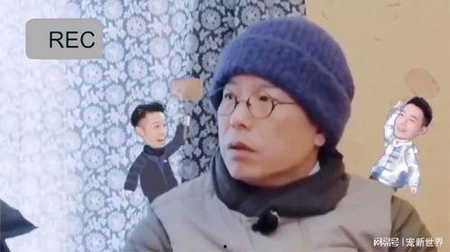 东北明星搞笑日常,搞笑日常大盘点