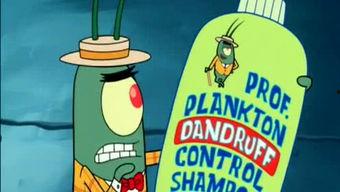 周日娱乐频道,精彩节目大盘点，欢乐时光不容错过