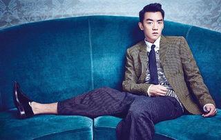 郑凯有什么背景,从影视演员到商业精英的跨界传奇